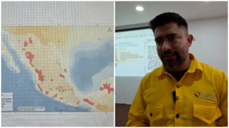 Conafor alerta: Fenómeno de 'La Niña' podría agravar incendios forestales en 2026