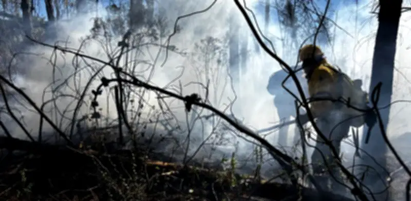 Conafor reporta 20 incendios activos en 7 estados mexicanos con 1,944 hectáreas afectadas