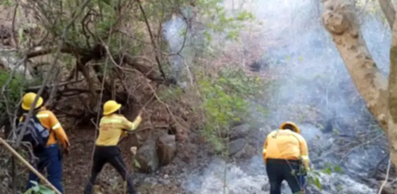 Conafor reporta 22 incendios activos en 11 estados; Chiapas es el más afectado