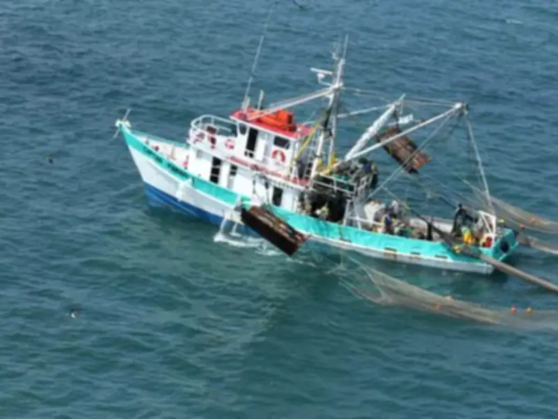 Conapesca actualiza certificado de captura para exportaciones pesqueras a la Unión Europea