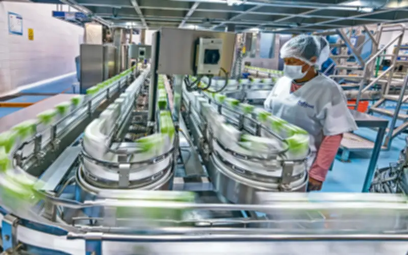 CONCANACO pide transición gradual en reducción de jornada laboral para proteger empleo