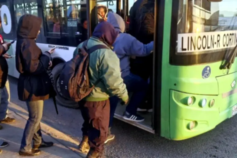Concesionarios de Transporte Piden al Estado Delegar Servicios para Mejorar Eficiencia