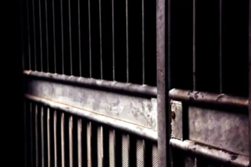 Condenan a 'Halcon' y a jefe de plaza del Cártel del Golfo por delitos federales