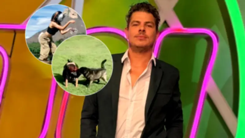 Conductor de 'Hoy' arremete contra los therian: 'Les voy a echar al antirrábico'