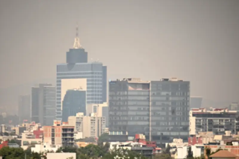 Contingencia Ambiental: Doble Hoy No Circula este sábado 14 de febrero en el Valle de México