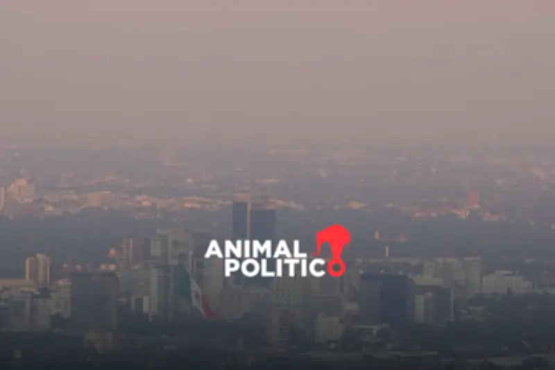 Contingencia Ambiental en CDMX y Valle de México activa Hoy No Circula este 13 de febrero