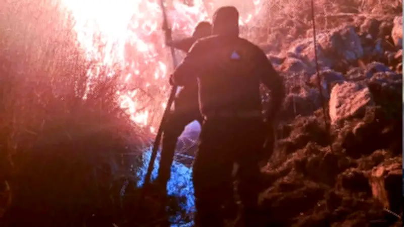 Controlan incendio en inmediaciones de Monte Albán, Oaxaca; sin daños al patrimonio