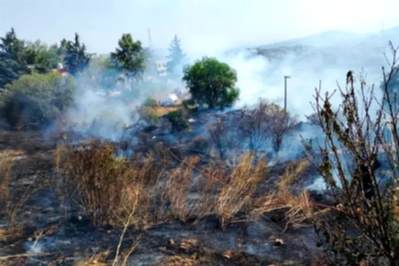 Controlan incendio forestal en Atizapán tras intensa labor de brigadistas
