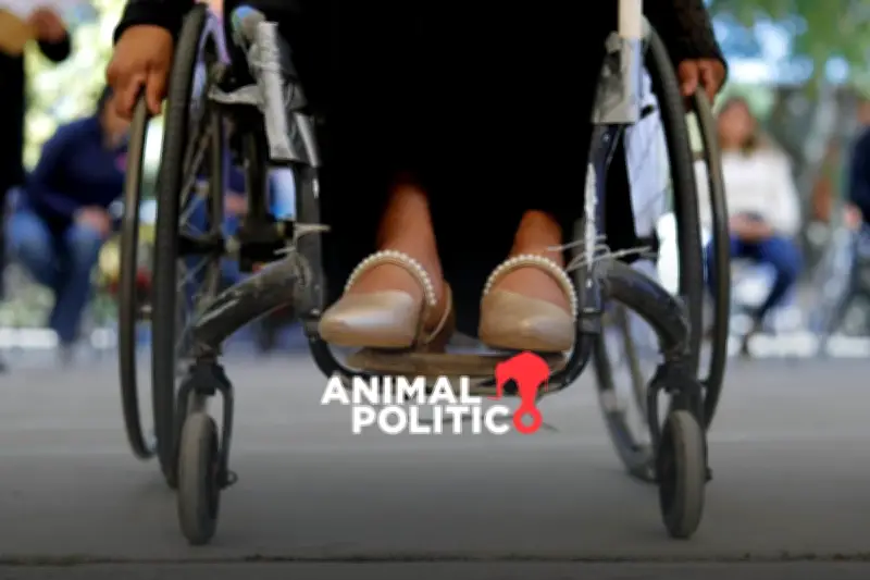 Corte de Sinaloa protege el derecho al aborto de mujeres con discapacidad