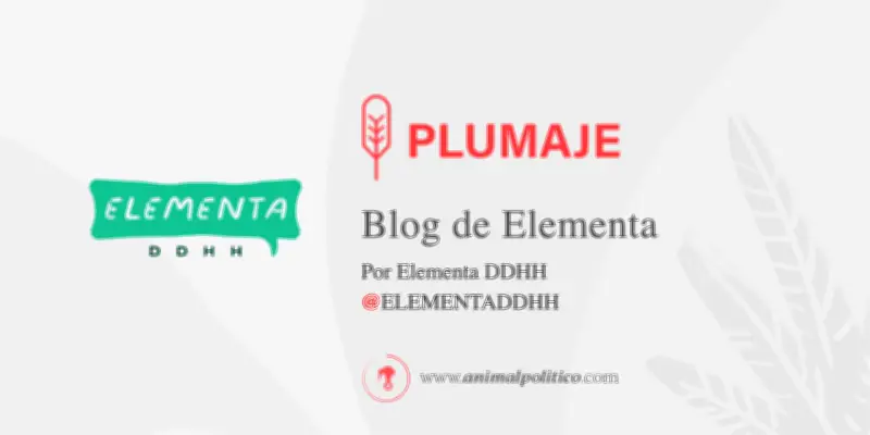 Corte pierde oportunidad histórica para despenalizar posesión de cannabis en México