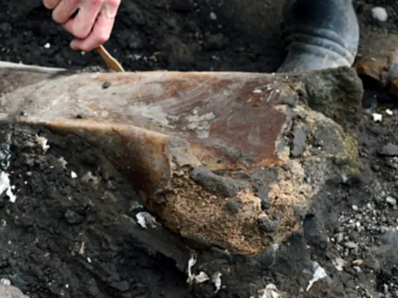 Costa Rica descubre fósiles de perezoso y mastodonte gigantes de hace miles de años