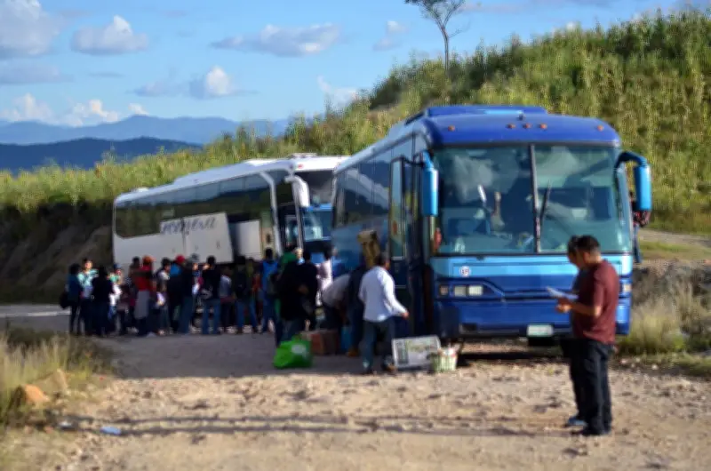 Crimen organizado extorsiona a jornaleros agrícolas en Guerrero: migrar bajo amenaza