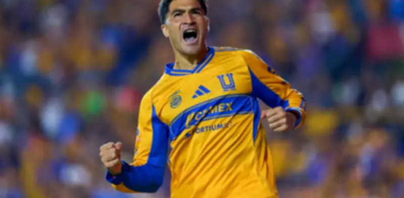 Cruz Azul activa Plan B: Negocia con Tigres por Nicolás Ibáñez tras fallar con Joao Pedro