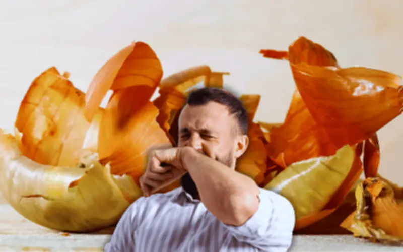 Cáscara de Cebolla: Descubre los Beneficios y Usos del Té y Más