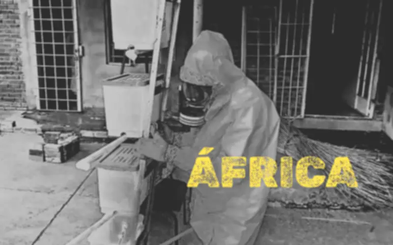 Cárteles Mexicanos Consolidan Presencia en África con Laboratorios de Metanfetamina