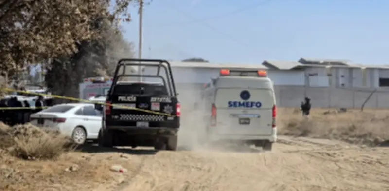 Día de San Valentín se tiñe de sangre: 44 asesinatos en el día más violento del fin de semana