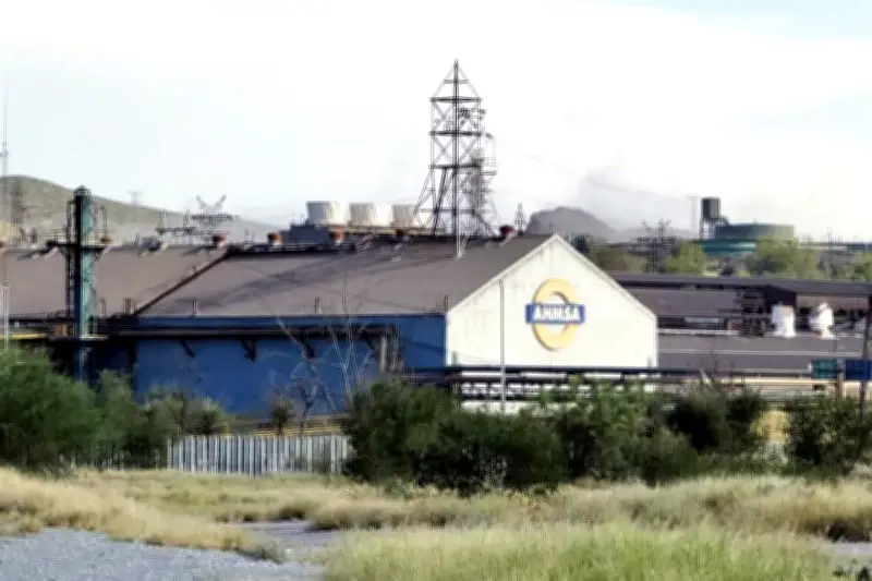 Declaran desierta subasta de Altos Hornos de México por falta de postores