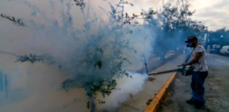 Dengue en México: 552 casos confirmados en enero, solo 12 estados libres del virus