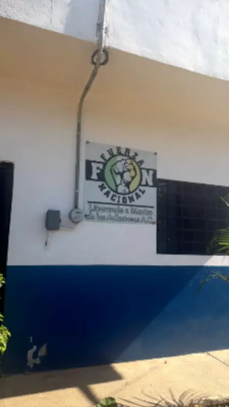 Denuncian 'levantamientos' consentidos por autoridades en anexo de Puerto Vallarta, Jalisco