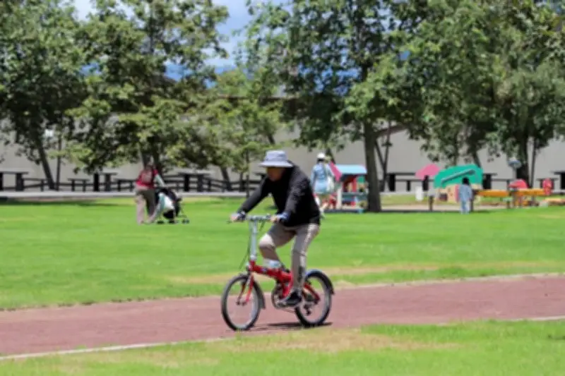 Descartan Parque Bicentenario para nuevo estadio de Cruz Azul en CDMX