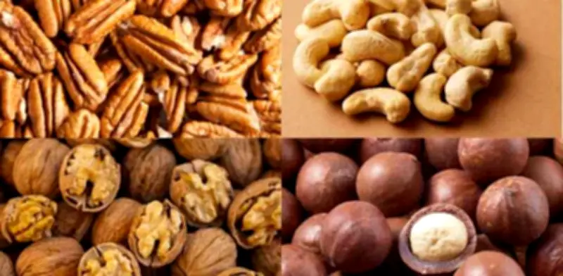 Descubre la amplia variedad de nueces: tipos, características y beneficios nutricionales
