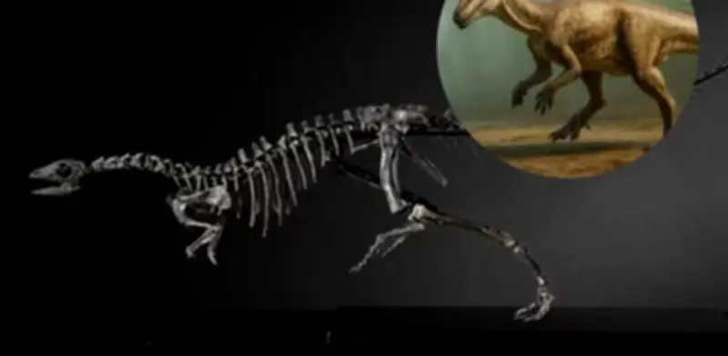 Descubren en EU dinosaurio del tamaño de un perro que redefine especie jurásica