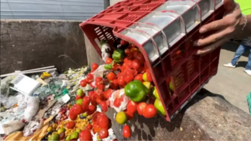 Desperdicio de alimentos en México: tortillas, carne y leche lideran las pérdidas