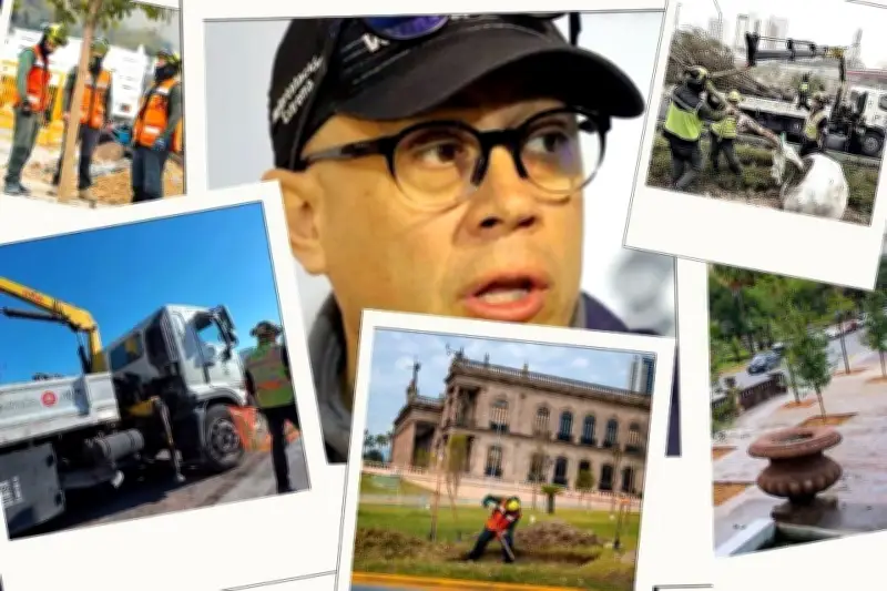 Desvíos en Reforestación Extrema: Caso de Corrupción en Proyectos Ambientales