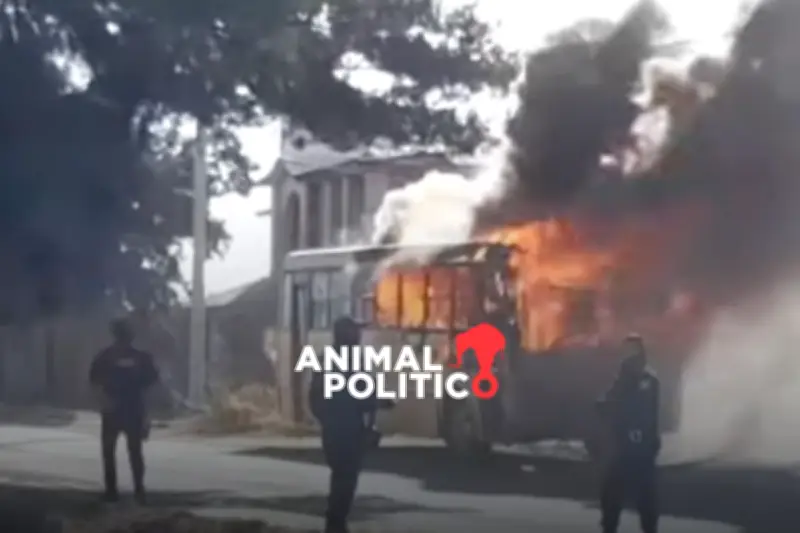 Detienen a 12 personas en Guanajuato por hechos violentos y abatimiento de 'El Mencho'