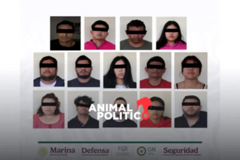 Detienen a 14 presuntos integrantes del CJNG en operativo en Veracruz