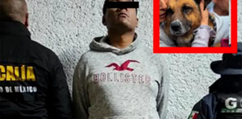Detienen a Anthony Fran por lanzar al perro 'Lobito' desde escaleras en Naucalpan