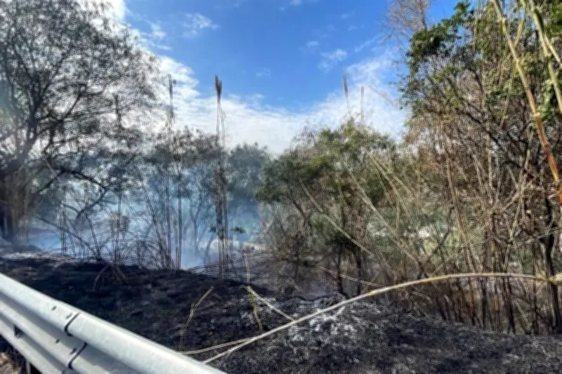 Detienen a responsables de provocar incendio en el Río Santa Catarina en Nuevo León