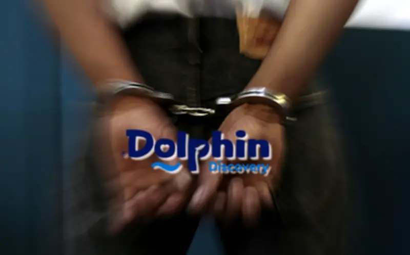 Detienen en Cancún al CEO de Dolphin Discovery, operador global de delfinarios