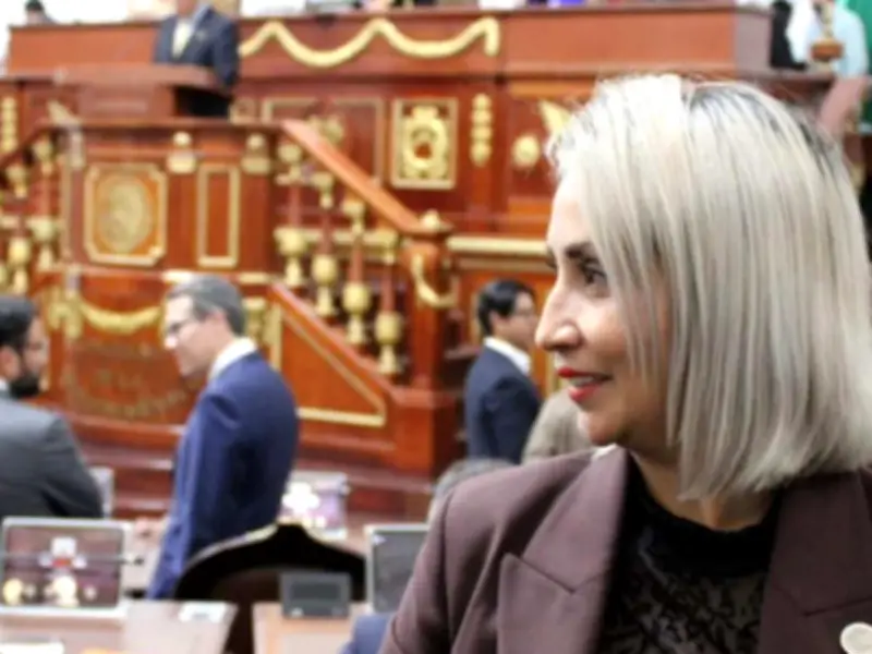 Diputada confunde límites territoriales en exhorto sobre punto comercial en 'Puente Negro'