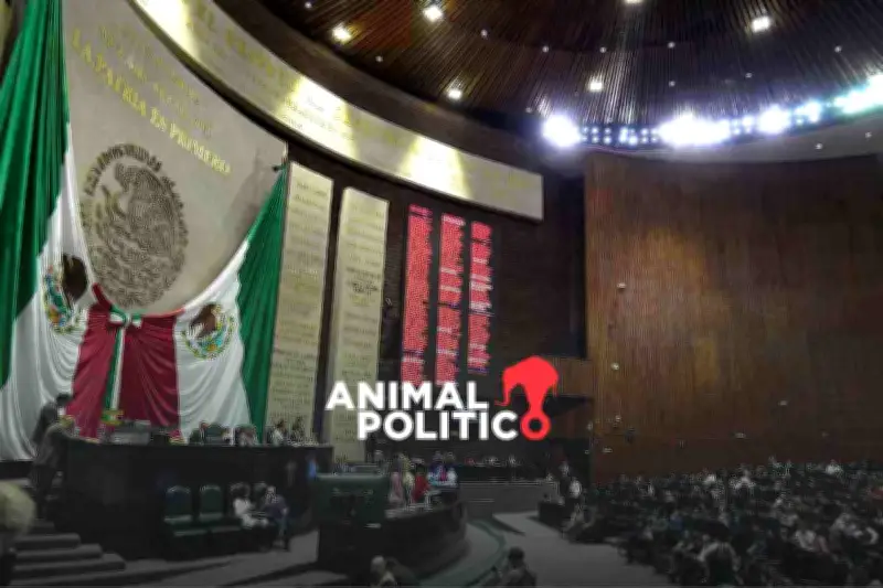 Diputados aprueban que el delito de abuso sexual se persiga de oficio en México