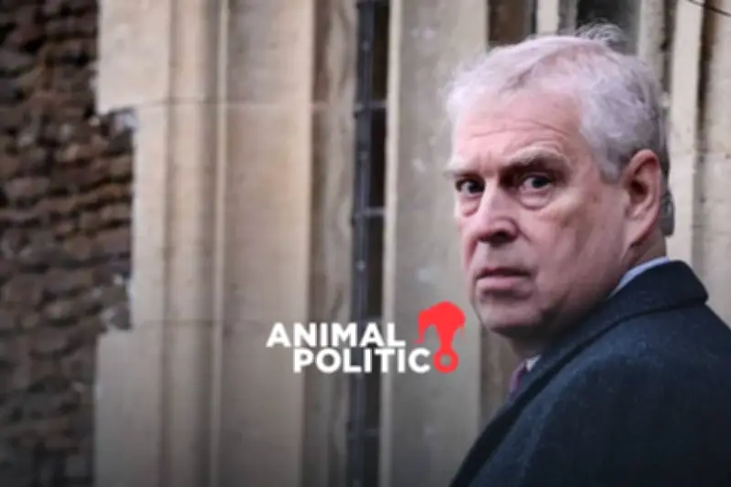 Diputados de EE.UU. Revelan Nuevos Documentos Vinculados al Caso Epstein y el Príncipe Andrés