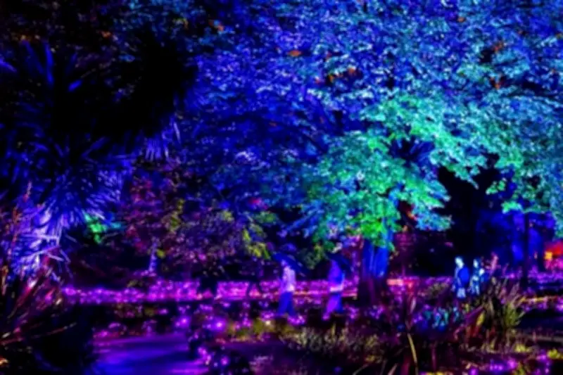 Diputados en Polémica por Evento en Parque Lira: Debate sobre Uso de Espacios Públicos