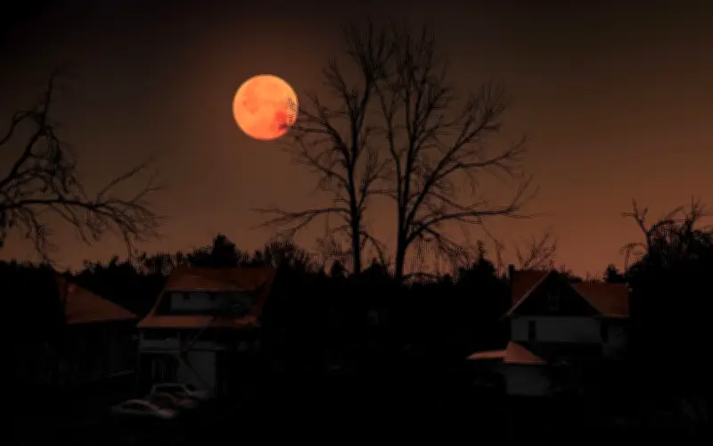 Eclipse Lunar Total 2026: Cómo Ver la 'Luna de Sangre' Desde México