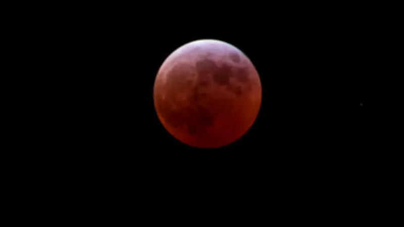 Eclipse Lunar Total del 3 de Marzo: Horarios y Fases de la Luna de Sangre en México