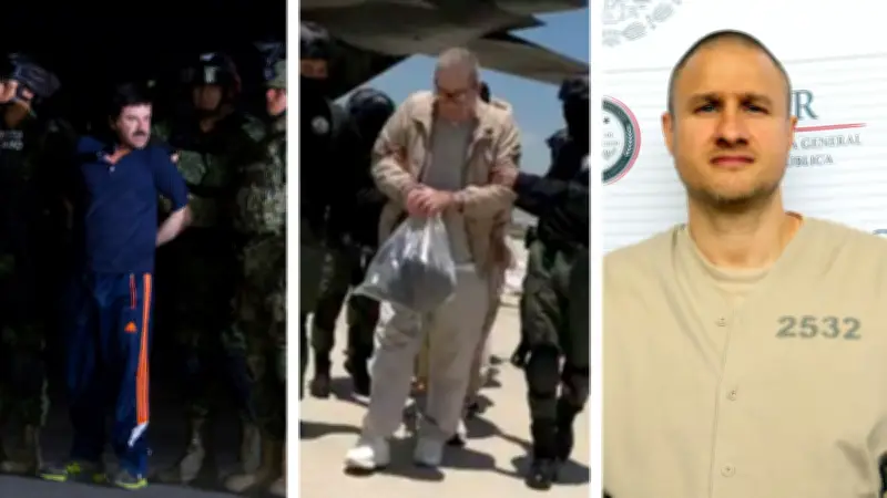 El amor los traicionó: 3 capos mexicanos que cayeron por sus parejas sentimentales