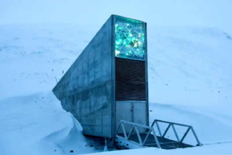 El Búnker del Fin del Mundo Recibe Semillas de Olivo por Primera Vez: Tesoros de México