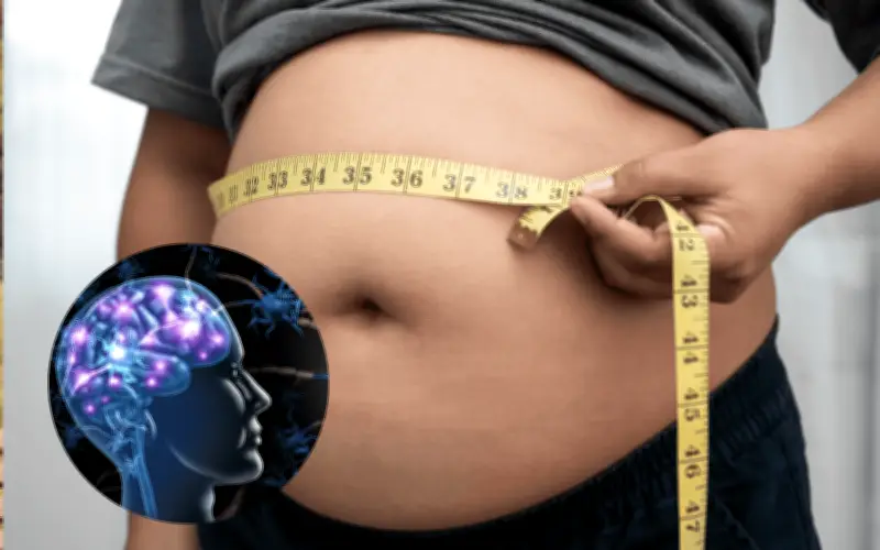 El Cerebro: Tu Aliado Clave para Perder Grasa sin Dietas Estrictas ni Ejercicio Excesivo