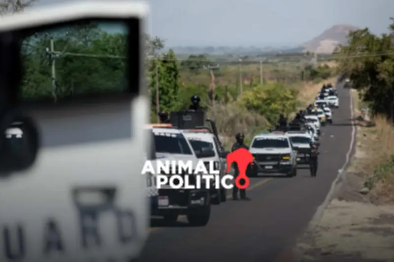 El CJNG usa desinformación en redes para atacar a rivales y autoridades