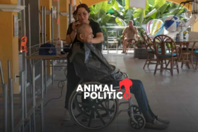 El Desafío de la Demencia en México: Cuidadores Buscan Apoyos y Grupos de Ayuda