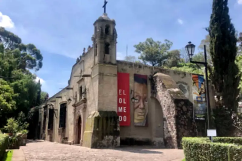 El Museo Dolores Olmedo reabre sus puertas tras una profunda renovación integral