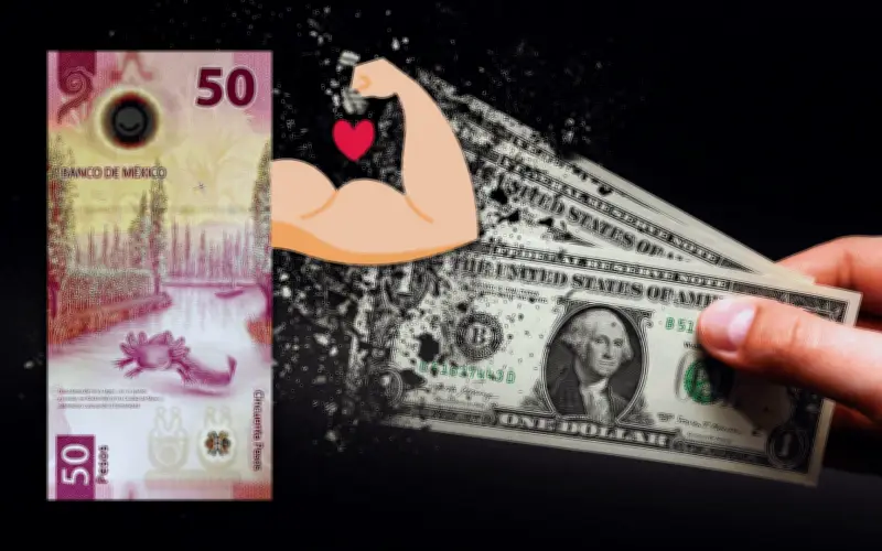 El 'Superpeso' Mexicano Se Impone: Dólar Cae Tras Revés Judicial a Trump