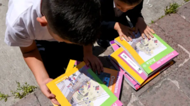 Errores y Amparos: El Polémico Legado de la Nueva Escuela Mexicana