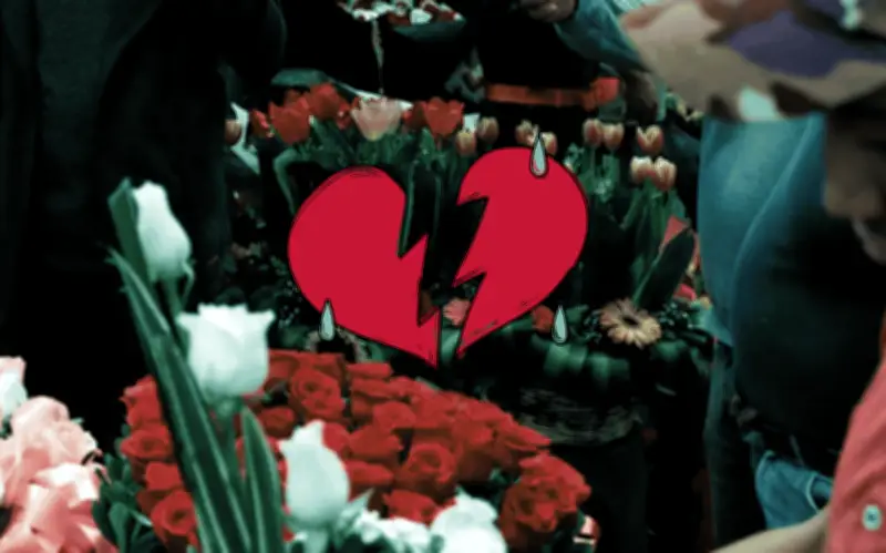 ¿Es momento de rendirse? Experto de Harvard explica la clave para la felicidad