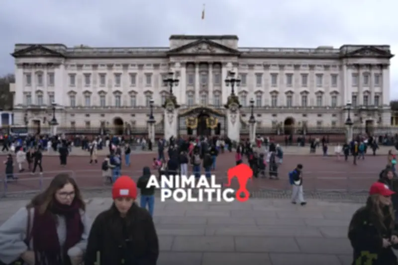 Escándalo Epstein: Familia Real Británica enfrenta nueva ley sobre el príncipe Andrés