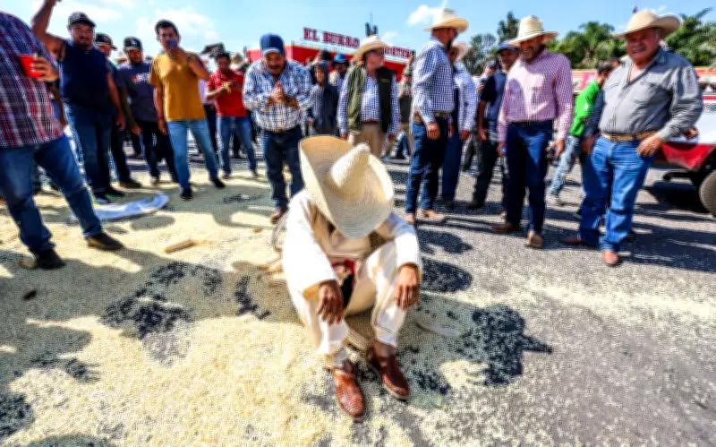 Especialista urge replantear política de comercialización del maíz ante crisis de productores